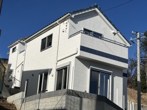IMG_7204